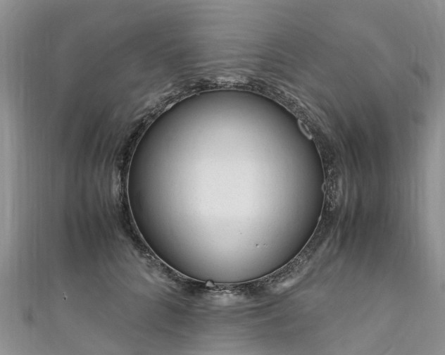 X0000110950704200906261321