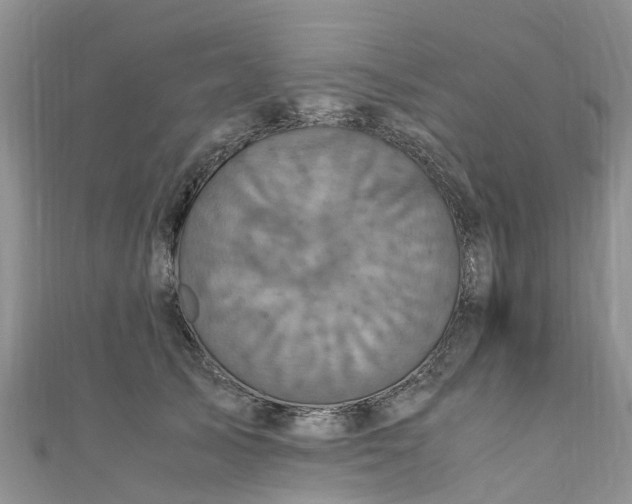 X0000110950705200906261321