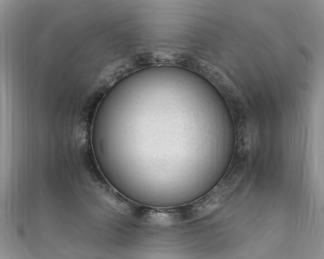 X0000110950706200906261321