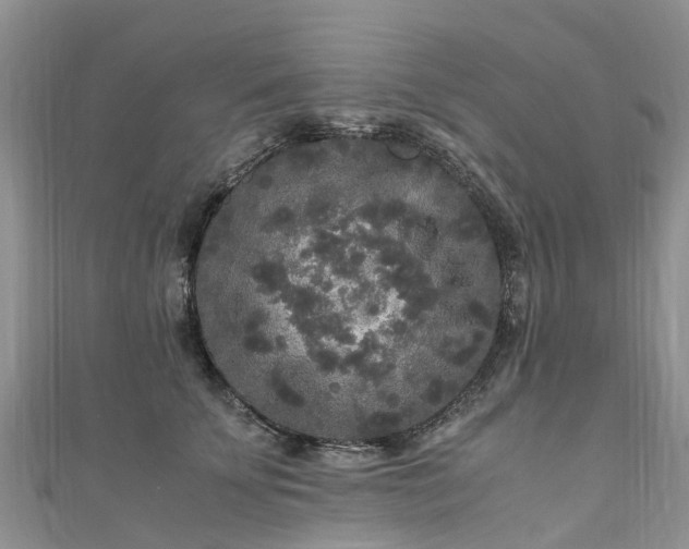 X0000110950707200906261321