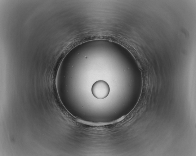 X0000110950708200906261321