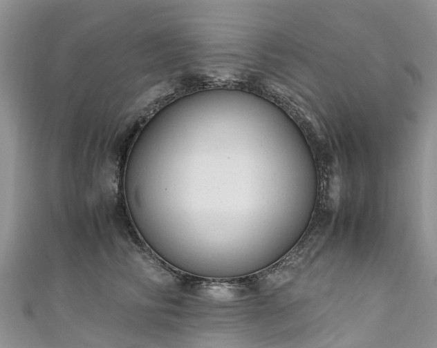 X0000110950710200906261321