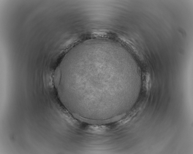 X0000110950712200906261321