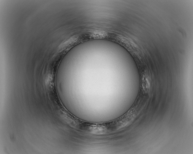 X0000110950714200906261321