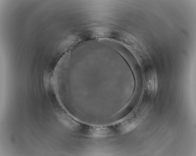 X0000110950716200906261321