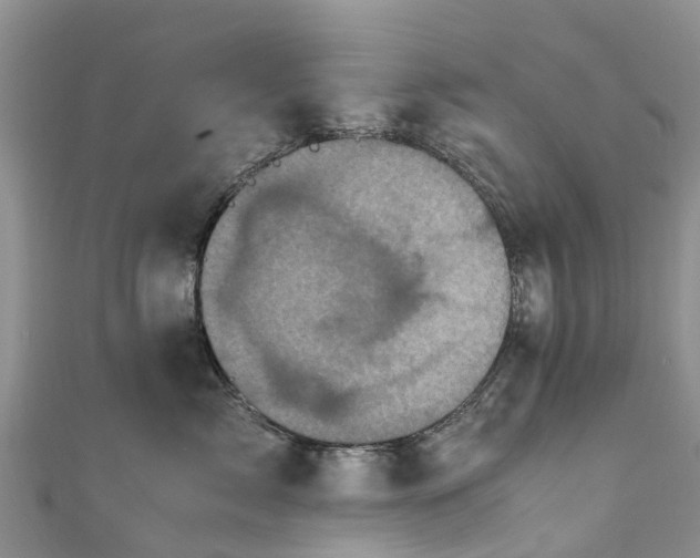 X0000110950717200906261321