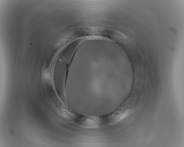 X0000110950720200906261321