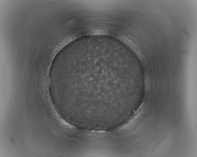 X0000110950721200906261320