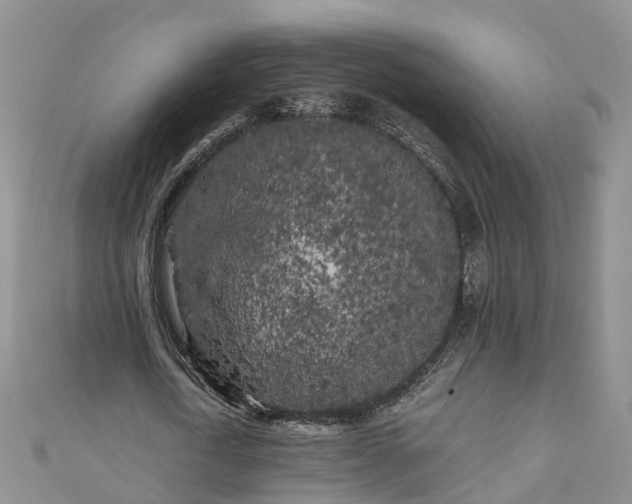 X0000110950722200906261320