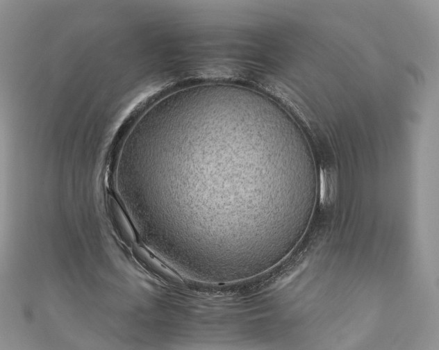 X0000110950723200906261320