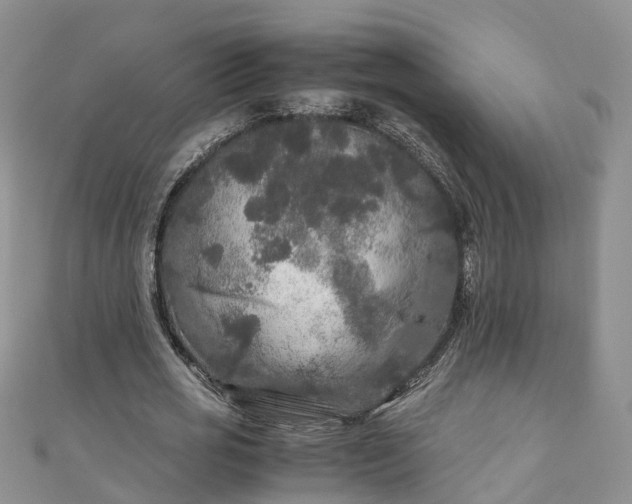 X0000110950725200906261320