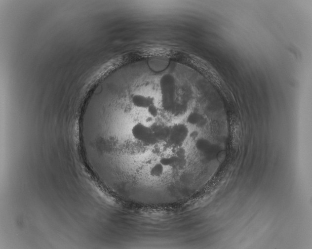 X0000110950729200906261320