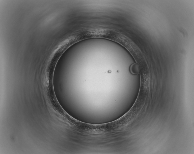 X0000110950731200906261320