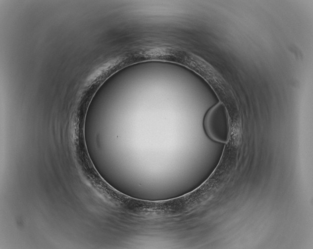 X0000110950732200906261320