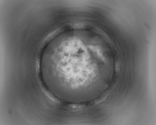 X0000110950733200906261320