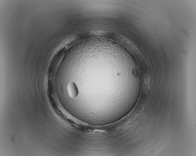X0000110950734200906261320