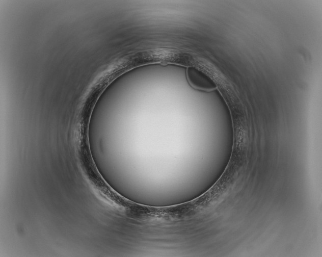 X0000110950736200906261320