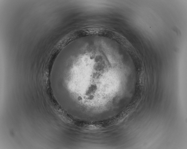 X0000110950737200906261320