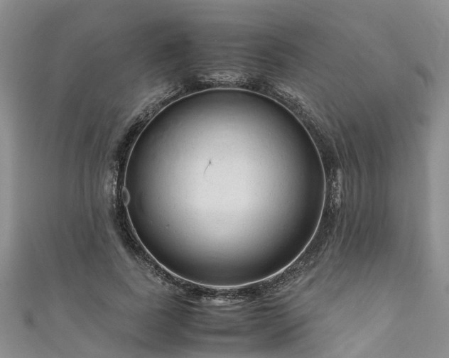 X0000110950739200906261320