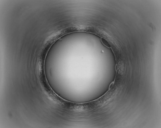 X0000110950740200906261320