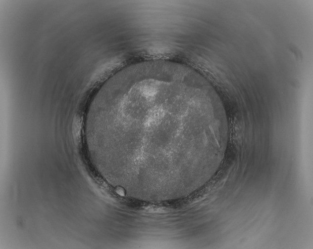 X0000110950742200906261320