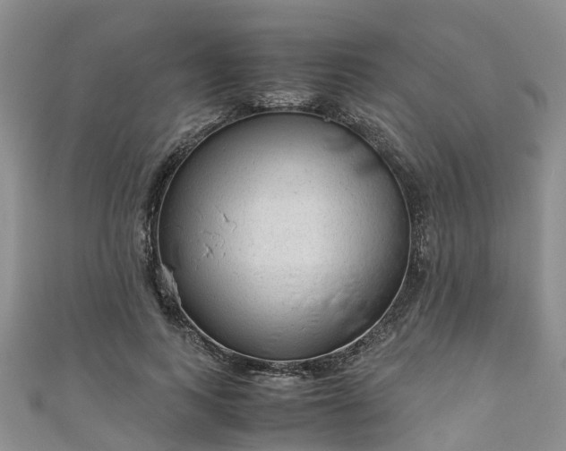 X0000110950743200906261320