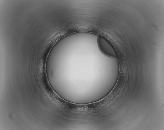 X0000110950744200906261320