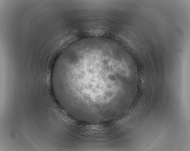 X0000110950745200906261320