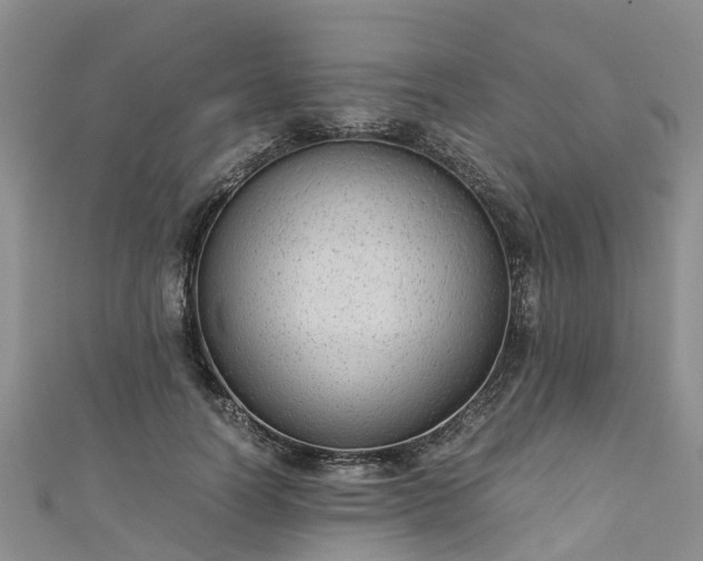 X0000110950746200906261320