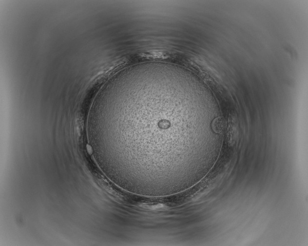 X0000110950747200906261320