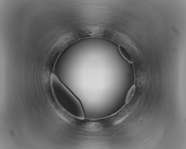 X0000110950748200906261320