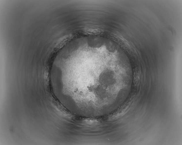 X0000110950749200906261320