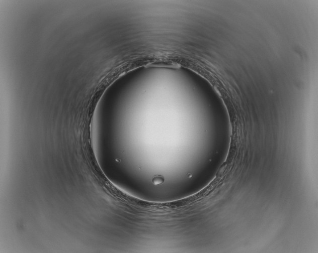 X0000110950750200906261320