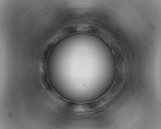 X0000110950755200906261320