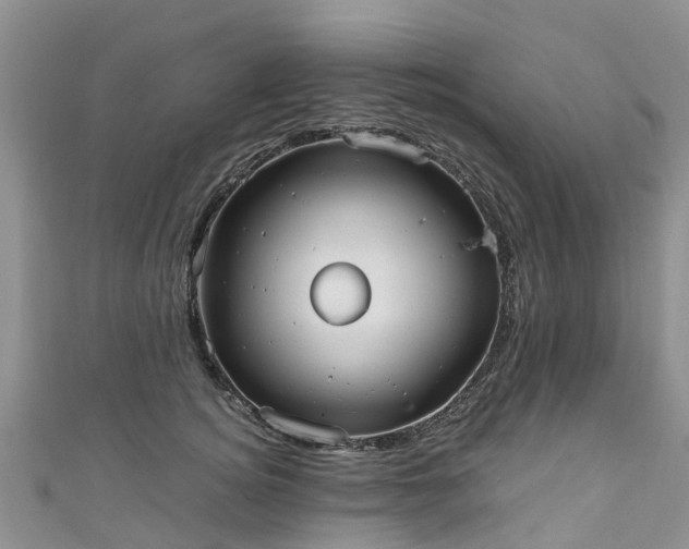 X0000110950756200906261320