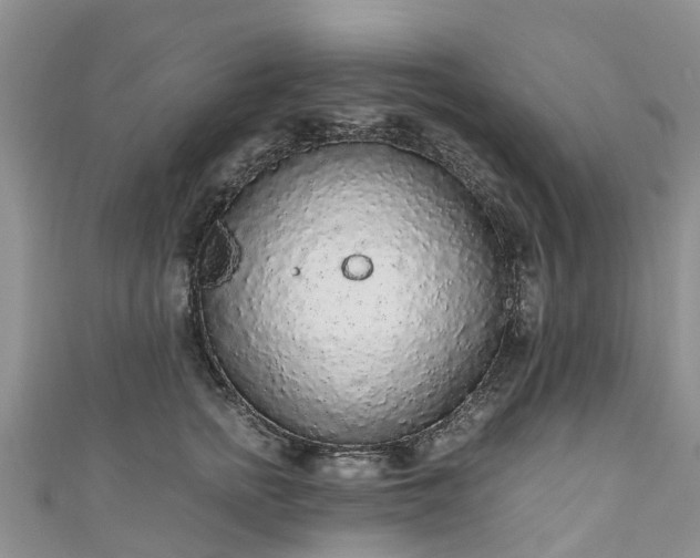 X0000110950758200906261320