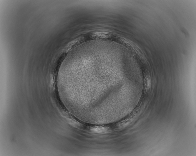 X0000110950759200906261320