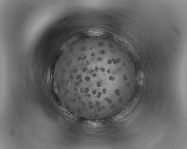X0000110950763200906261320