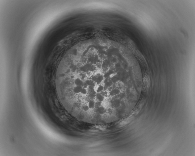 X0000110950765200906261321