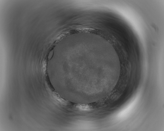 X0000110950767200906261321