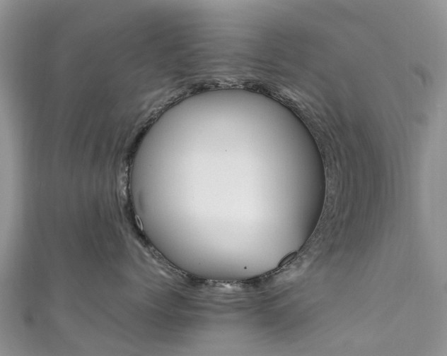 X0000110950768200906261321