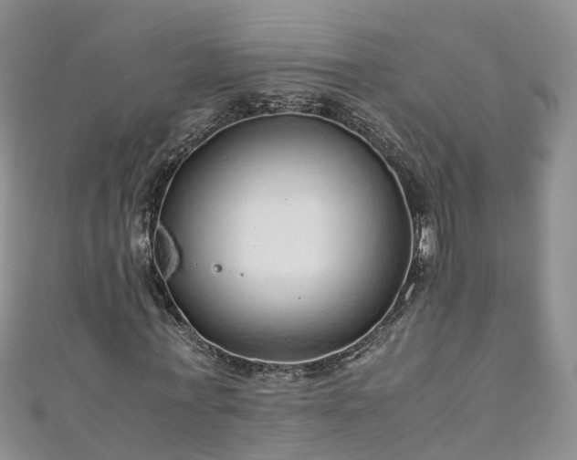 X0000110950771200906261320