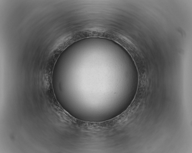 X0000110950774200906261320