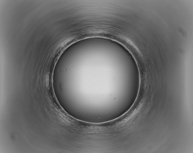 X0000110950777200906261320