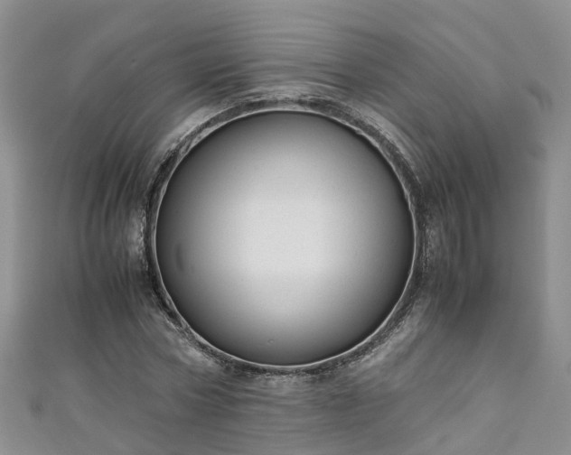 X0000110950778200906261320