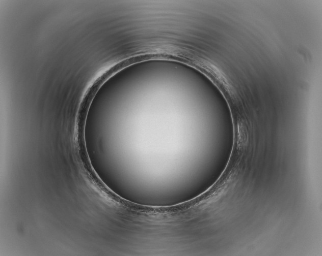X0000110950780200906261320