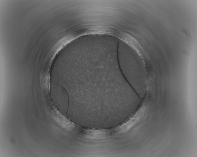 X0000110950781200906261320