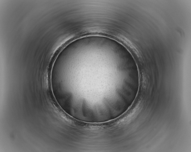 X0000110950782200906261320