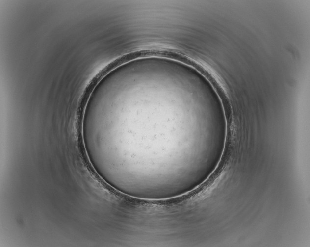 X0000110950783200906261320