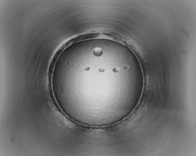 X0000110950784200906261320